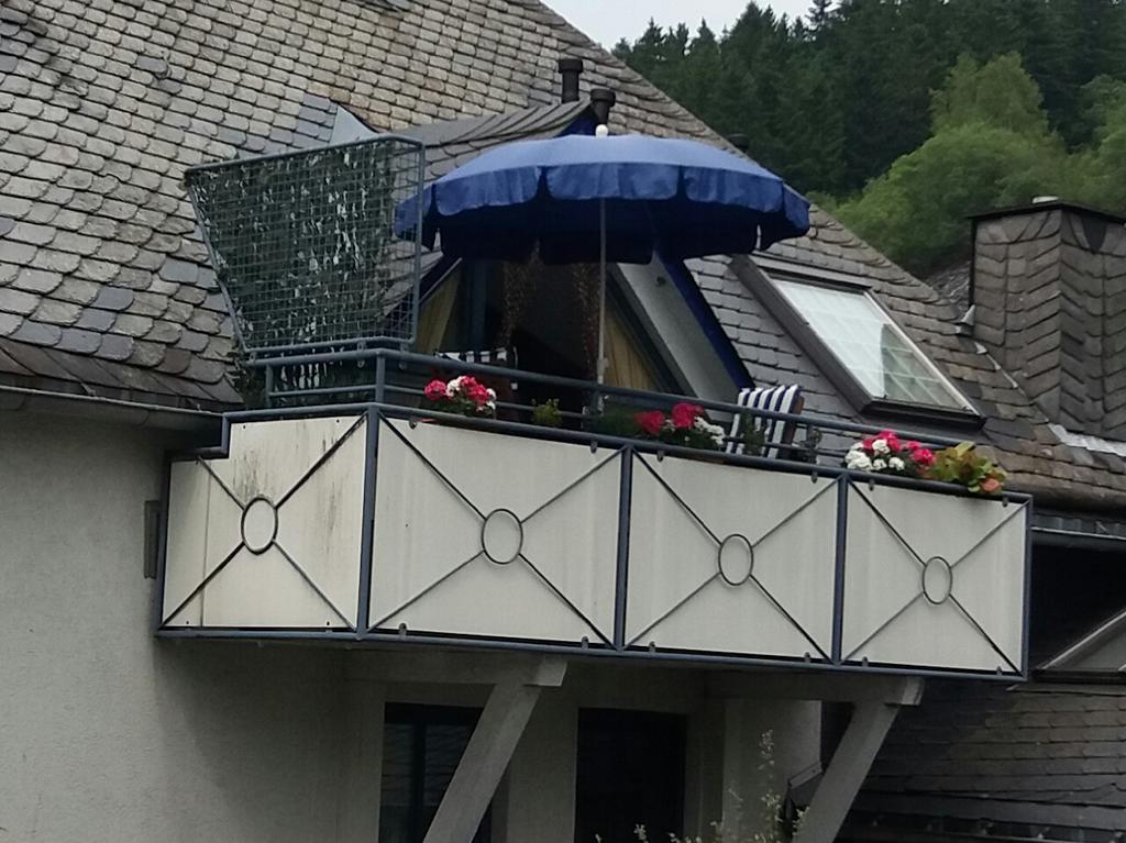 ヴィリンゲンHaus Elsholz Willingenアパートメント エクステリア 写真